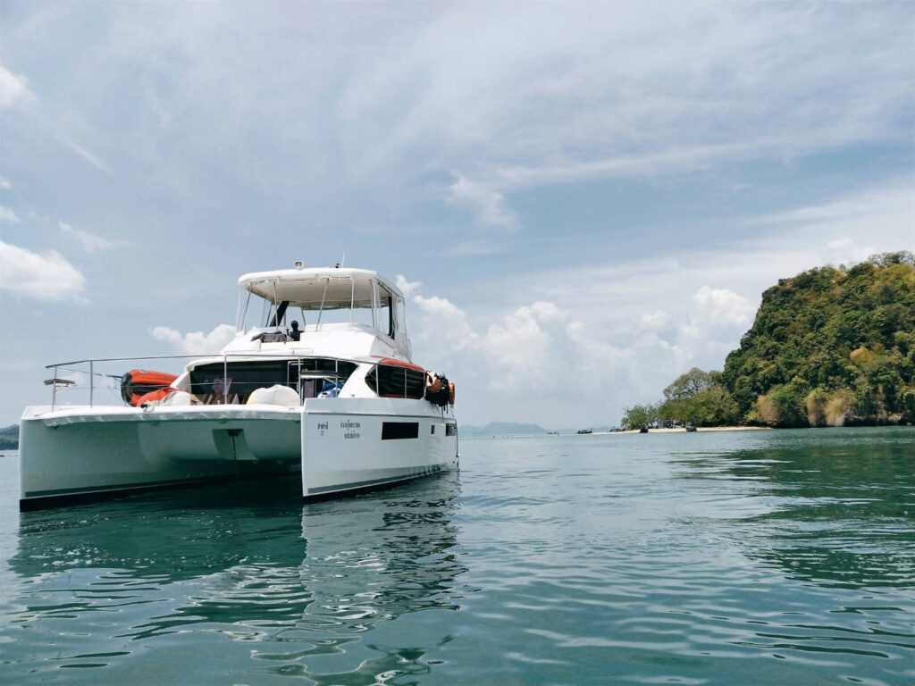 Leopard 43