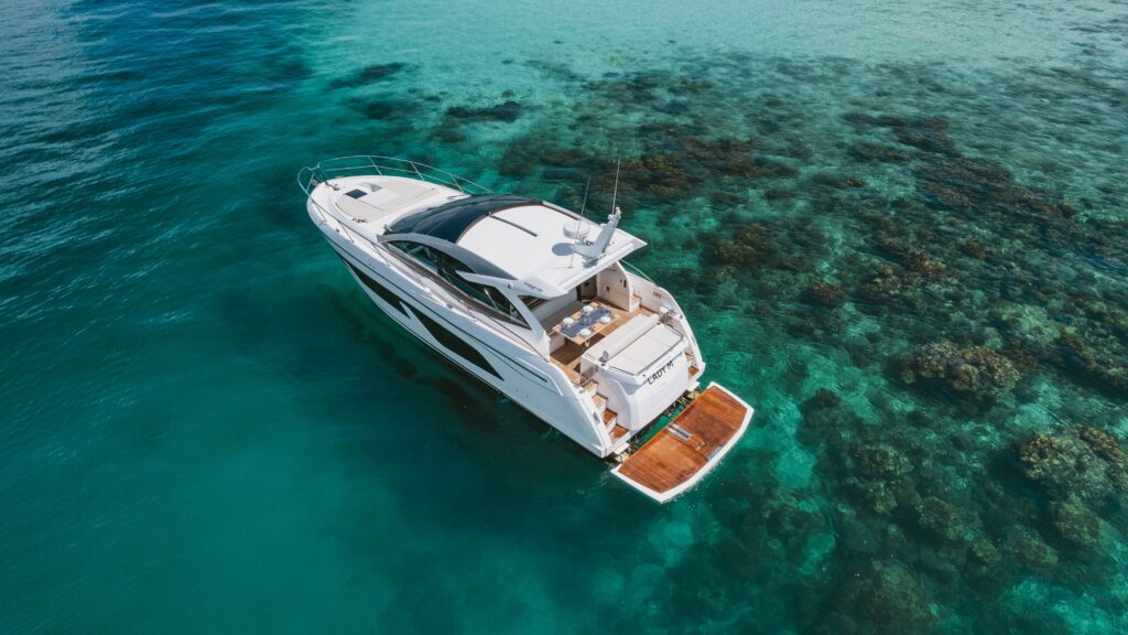 Predator 50